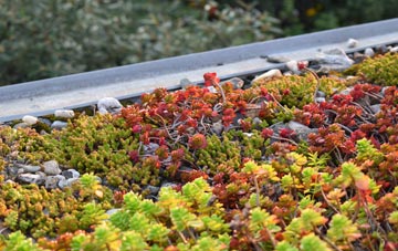 the cost of Devonport green roof installation